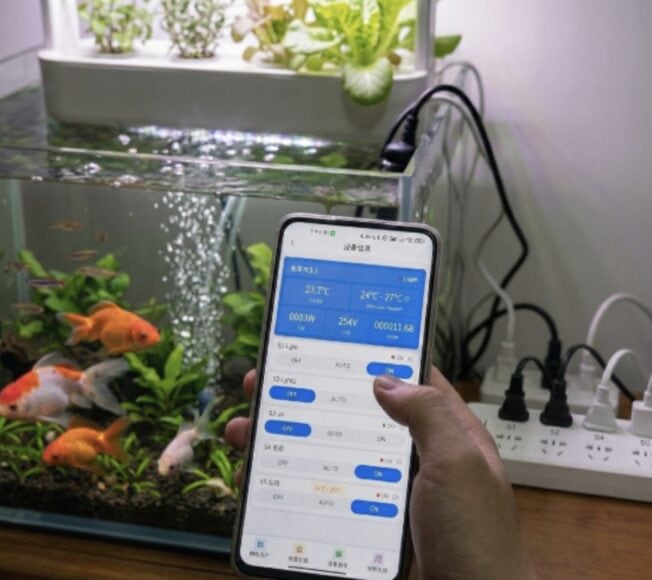 智能魚缸控制示範 現代魚缸與手機應用連接顯示溫度與水質.